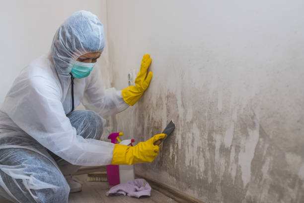 Best Mold Cleaning Services  in Glasgow, MO