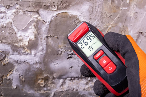 Best Residential Mold Removal  in Glasgow, MO