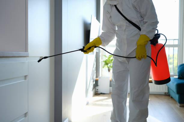 Attic Mold Removal in Glasgow, MO