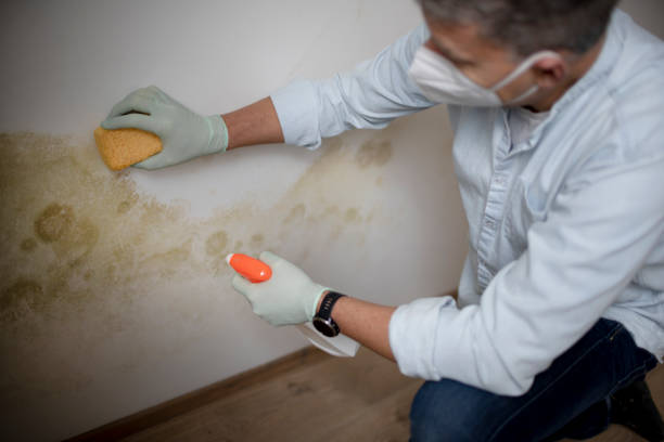 Best Mold Testing  in Glasgow, MO