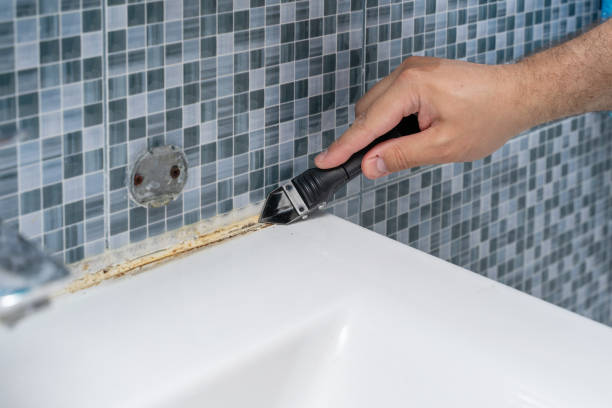 Best Mold Damage Repair  in Glasgow, MO