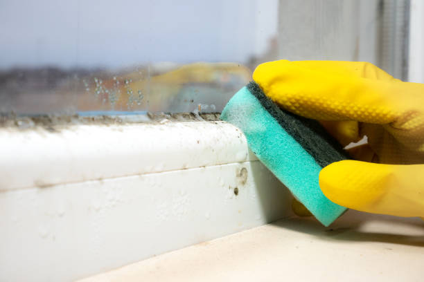 Best Mold Testing  in Glasgow, MO