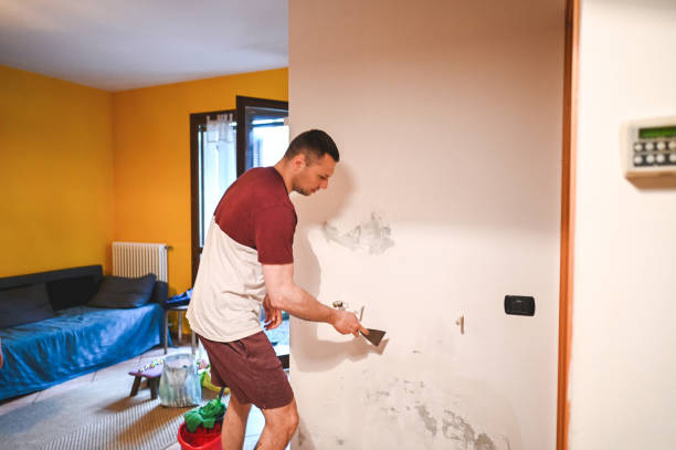 Best Black Mold Removal  in Glasgow, MO