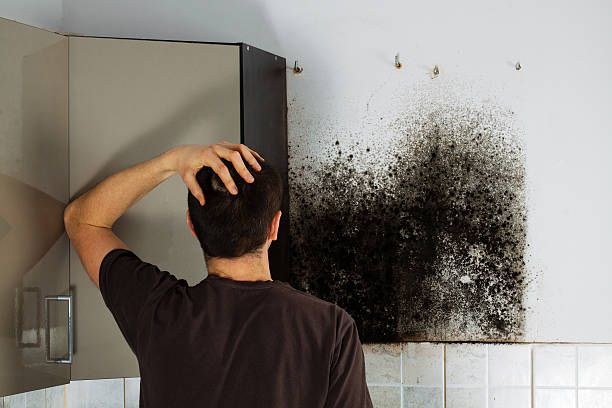 Best Fast Mold Removal  in Glasgow, MO