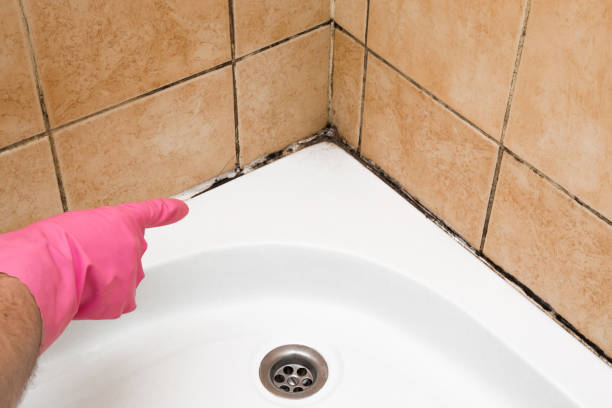 Best Professional Mold Removal  in Glasgow, MO